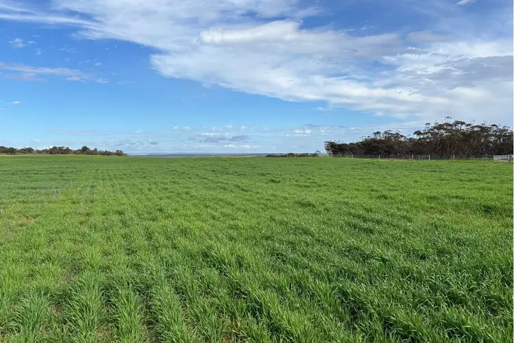 699 Balumbah Hill Road