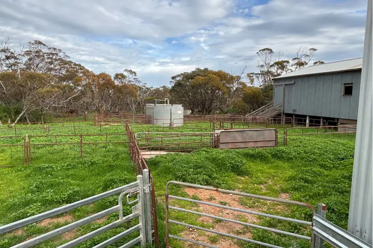 Seventh view of Homely rural property listing, 699 Balumbah Hill Road, Solomon SA 5641
