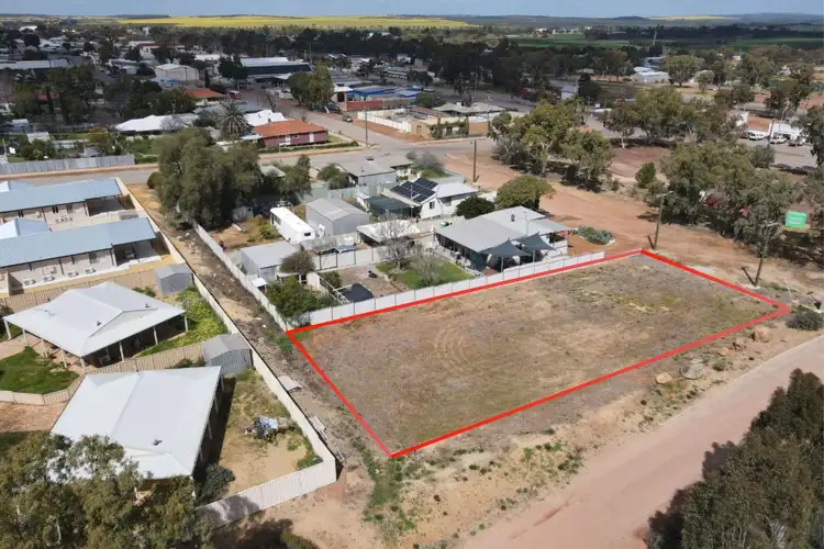 23 Ganzer Street, Wongan Hills WA 6603