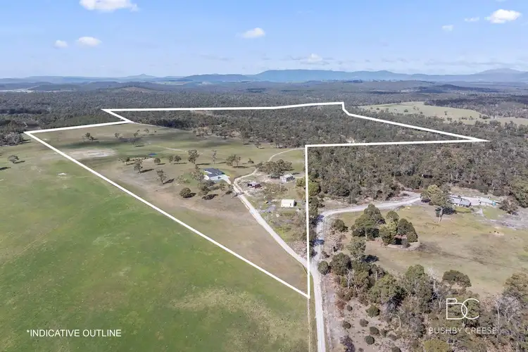 Second view of Homely house listing, 242 Boddingtons Road, Bridport TAS 7262