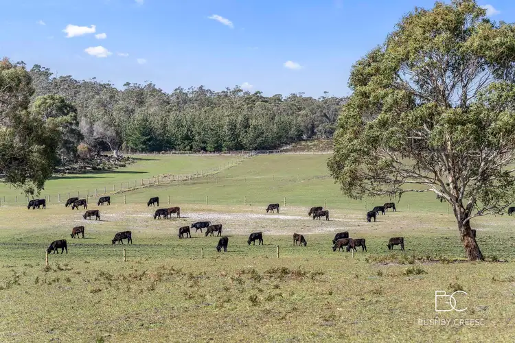 Fifth view of Homely house listing, 242 Boddingtons Road, Bridport TAS 7262