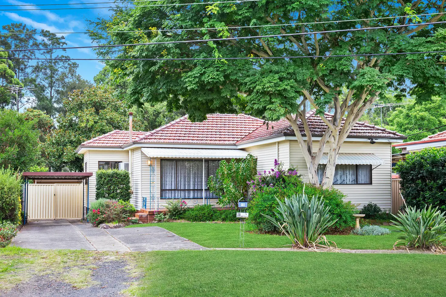 Main view of Homely house listing, 19 Archibald Street, Padstow NSW 2211