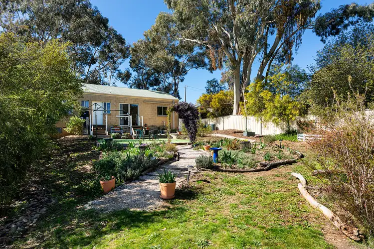 Sixth view of Homely house listing, 43 Wilkie Street, Castlemaine VIC 3450