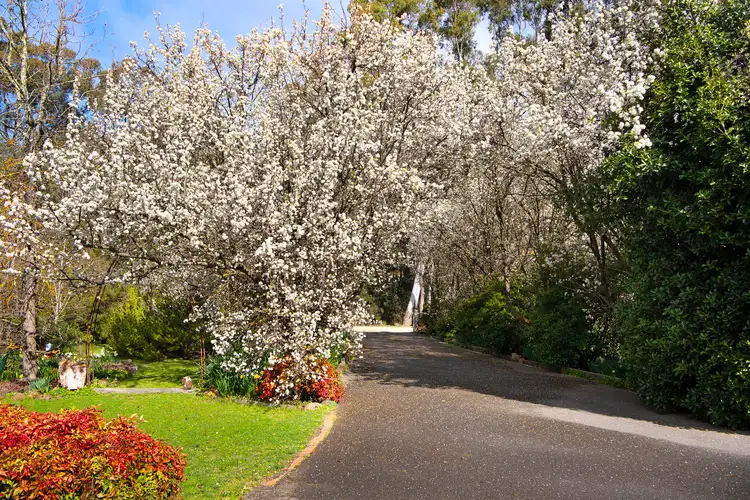 Second view of Homely house listing, 7 Robertson Avenue, Castlemaine VIC 3450