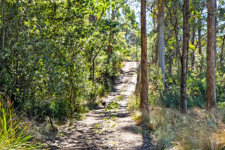 196 Alma Road, Orford TAS 7190