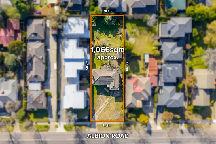 113 Albion Road, Box Hill VIC 3128