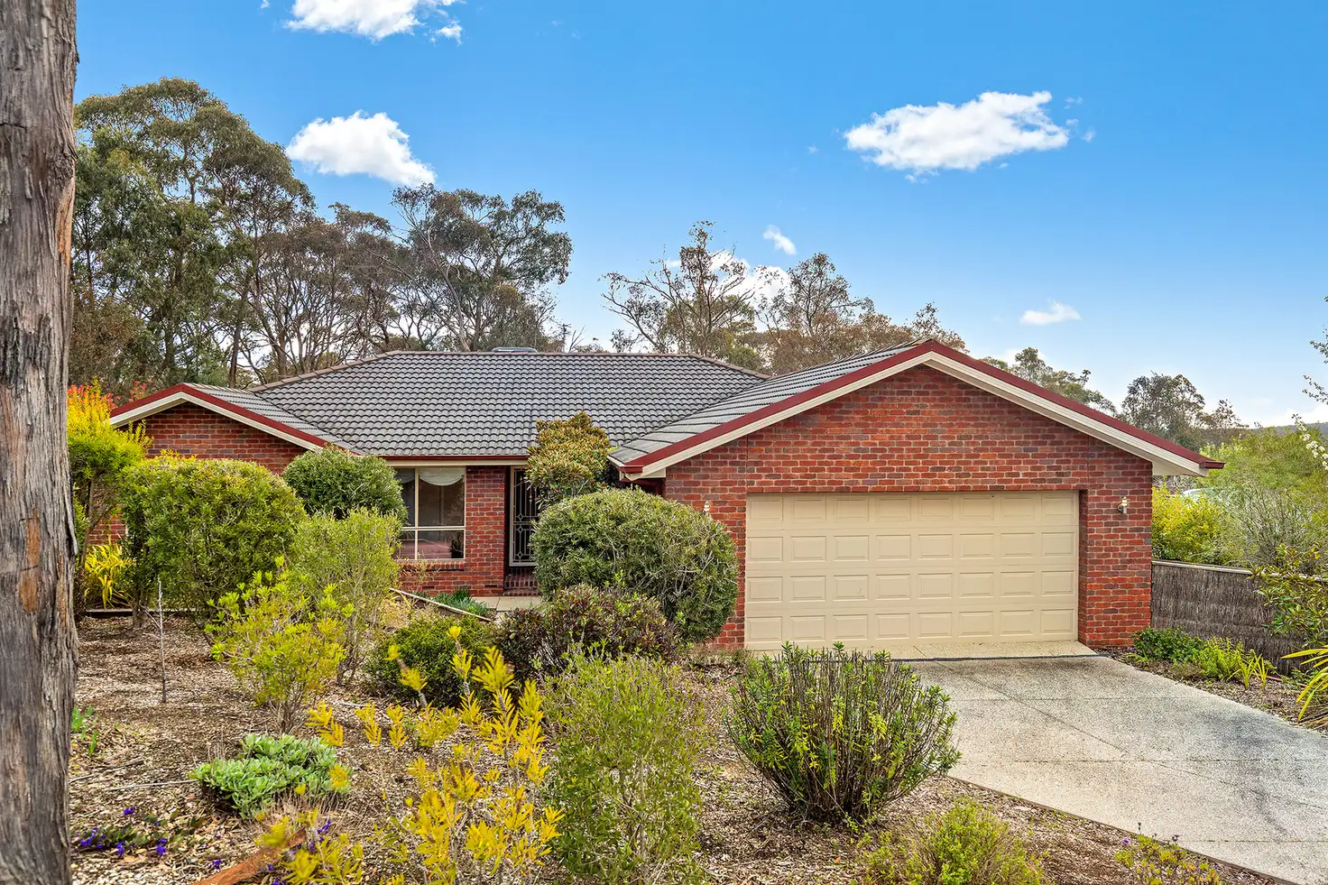 Main view of Homely house listing, 13 Club House Close, Buninyong VIC 3357