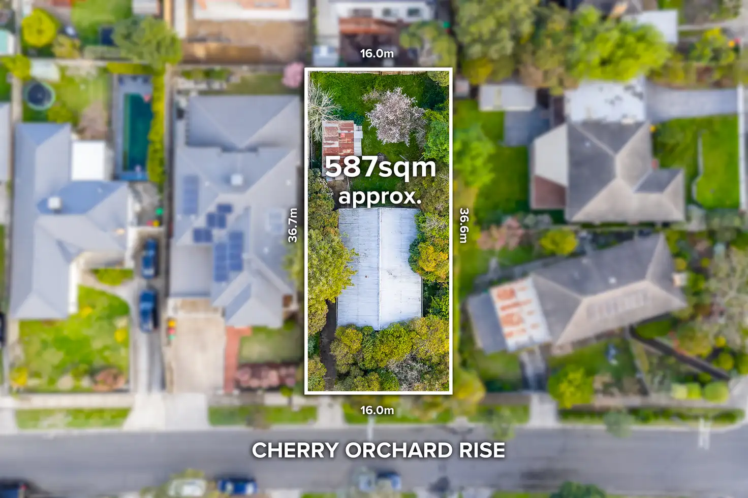 Main view of Homely house listing, 37 Cherry Orchard Rise, Box Hill North VIC 3129