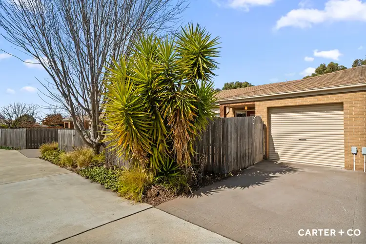 Second view of Homely townhouse listing, 16/7 Loveday Crescent, Casey ACT 2913
