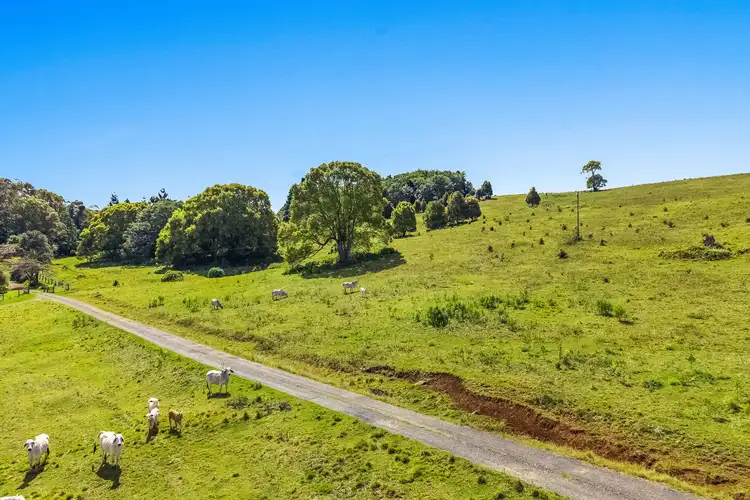 Fifth view of Homely rural property listing, 48 Tinderbox Road, Talofa NSW 2481