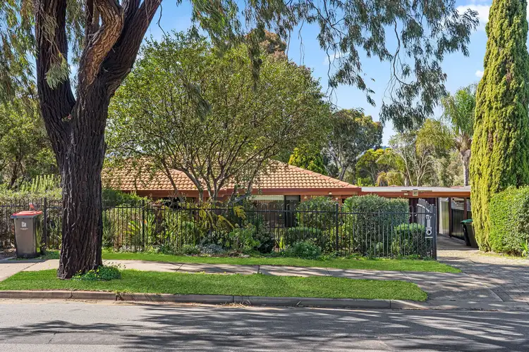 147 Ladywood Road, Modbury Heights SA 5092