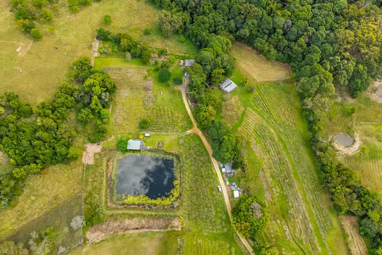 Third view of Homely rural property listing, 16 Sartories Road, Pimlico NSW 2478