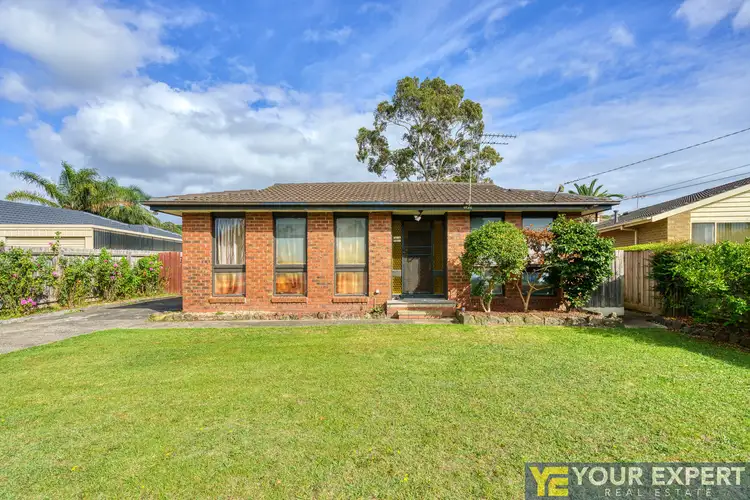 Third view of Homely house listing, 19 Chateau Avenue, Narre Warren VIC 3805