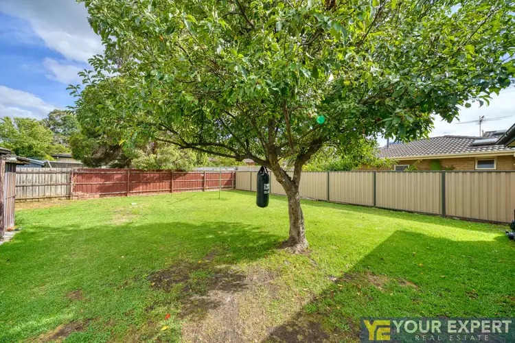 Sixth view of Homely house listing, 19 Chateau Avenue, Narre Warren VIC 3805