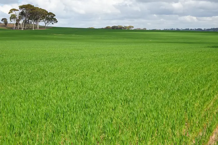 Giles Road, East Pingelly WA 6308