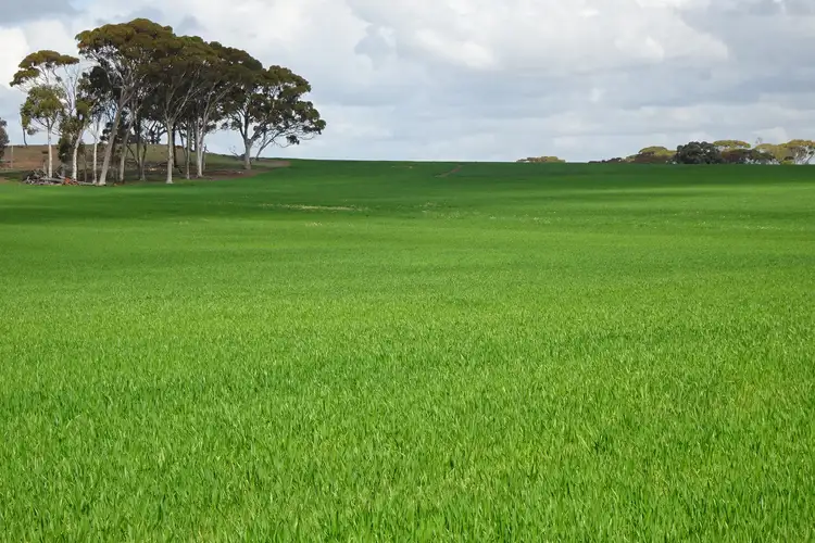 Second view of Homely rural property listing, Giles Road, East Pingelly WA 6308