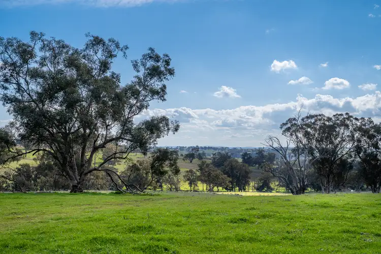 289 Paling Yards Loop, Orange NSW 2800
