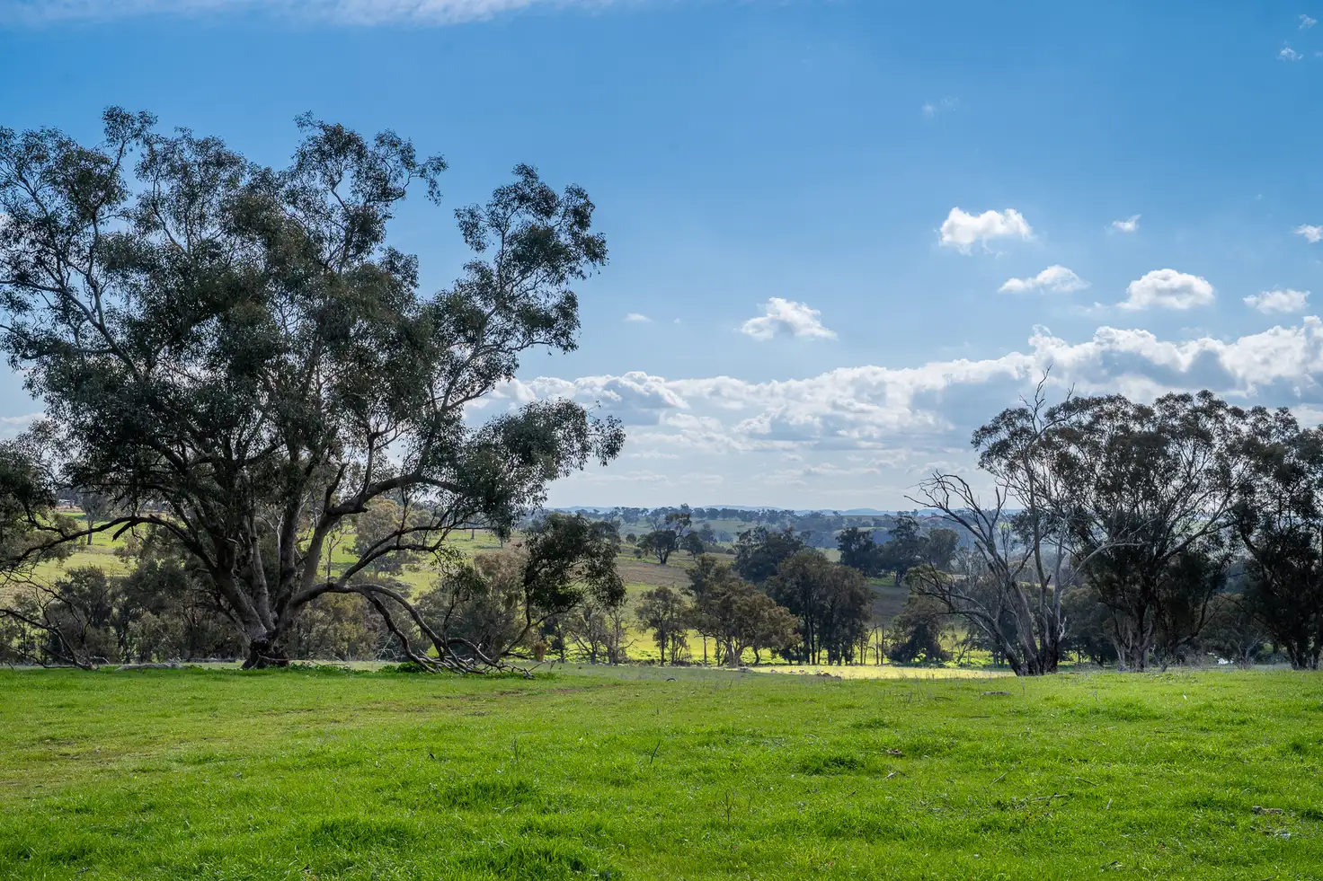 Main view of Homely rural property listing, 289 Paling Yards Loop, Orange NSW 2800