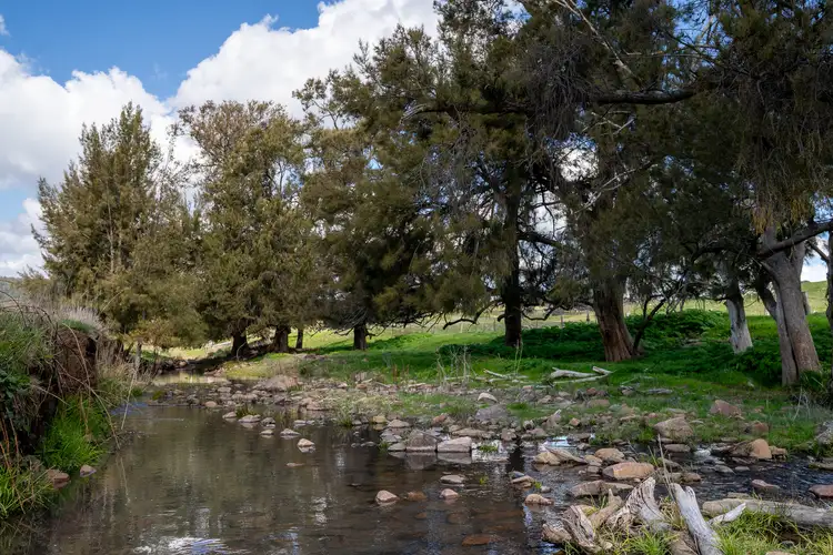 Third view of Homely rural property listing, 289 Paling Yards Loop, Orange NSW 2800