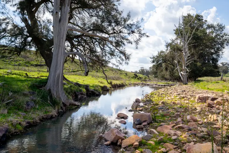 Fourth view of Homely rural property listing, 289 Paling Yards Loop, Orange NSW 2800