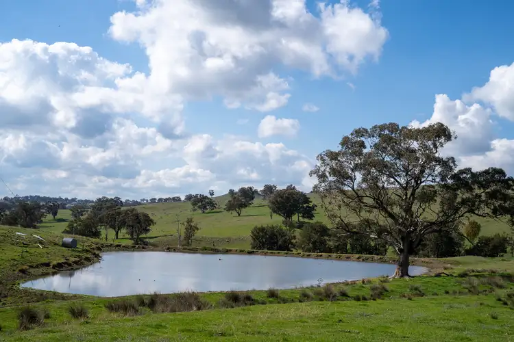 Fifth view of Homely rural property listing, 289 Paling Yards Loop, Orange NSW 2800