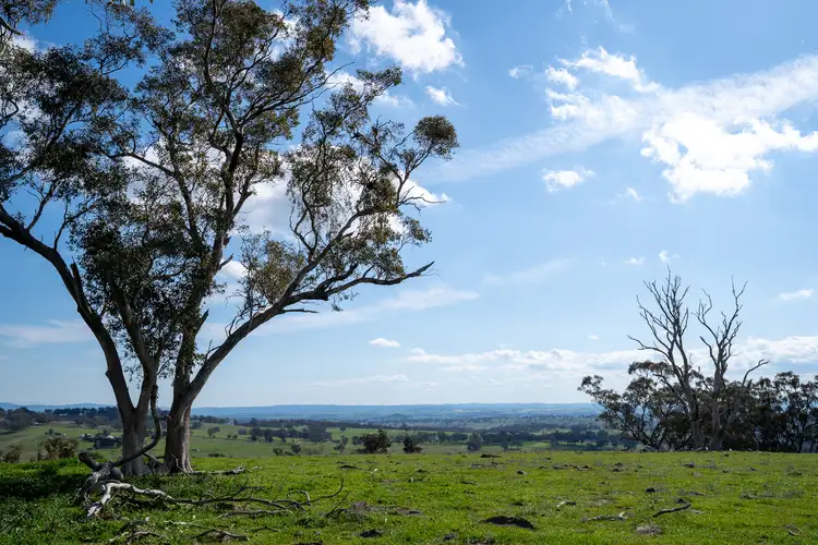Sixth view of Homely rural property listing, 289 Paling Yards Loop, Orange NSW 2800