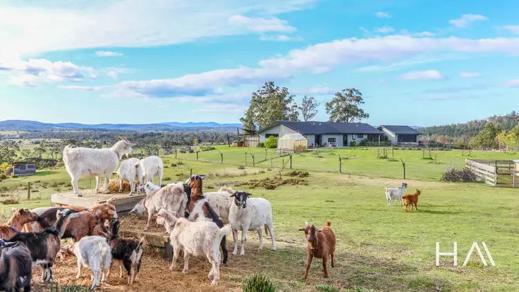 128 Long Plains Road, Exeter TAS 7275