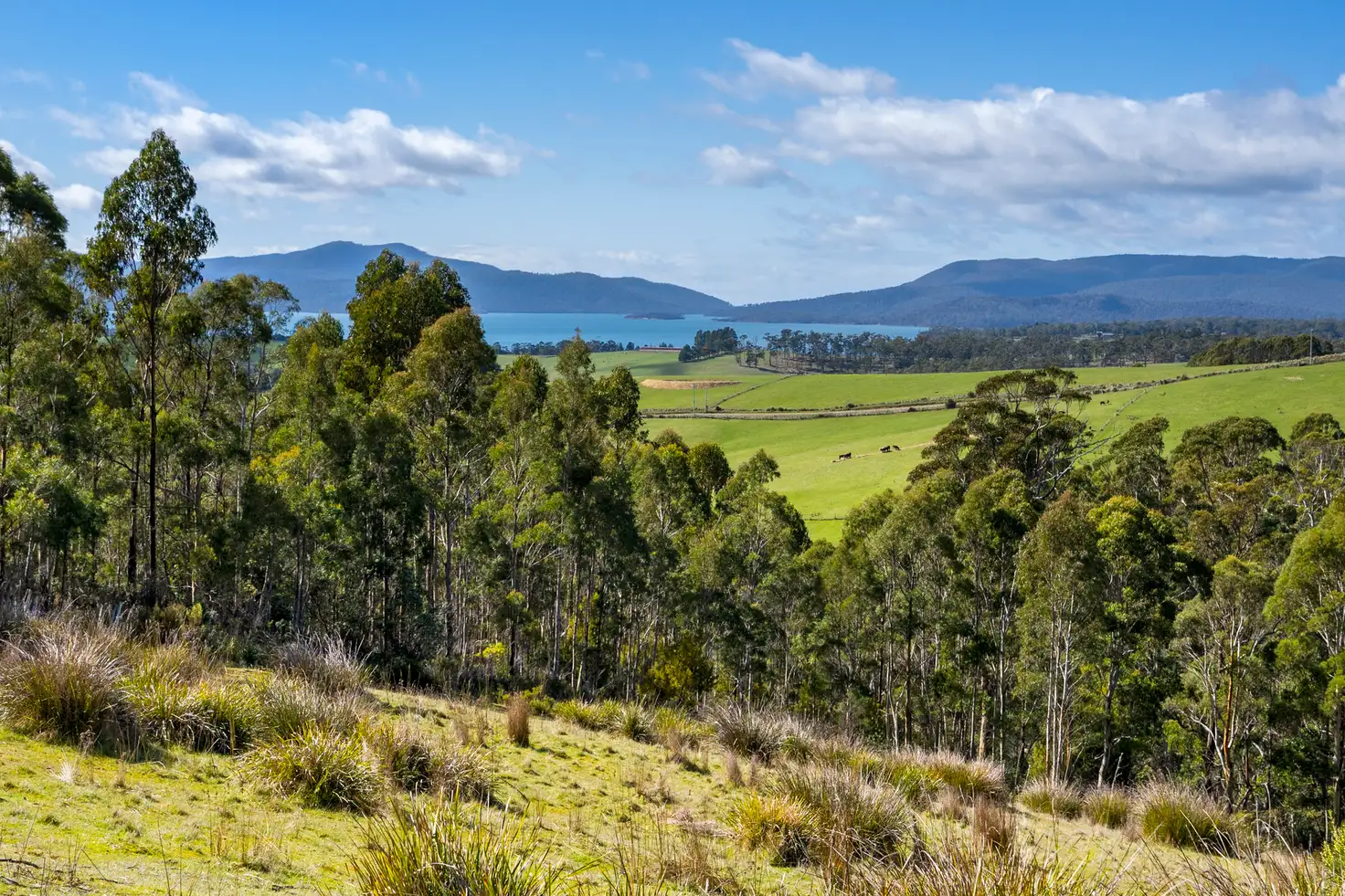 Main view of Homely land listing, 129 Littles Road, Premaydena TAS 7185