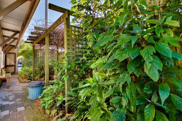 Sixth view of Homely house listing, 81 Trafalgar Street, Annandale NSW 2038