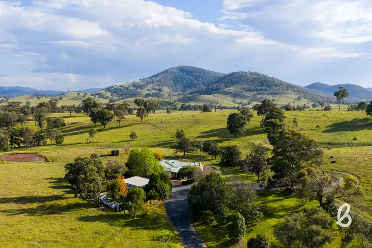 675 Glendonbrook Road, Glendon Brook NSW 2330