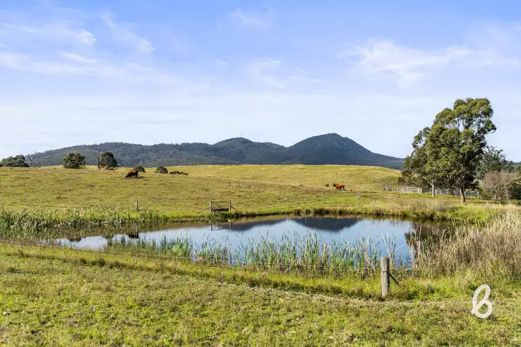 Sixth view of Homely rural property listing, 675 Glendonbrook Road, Glendon Brook NSW 2330