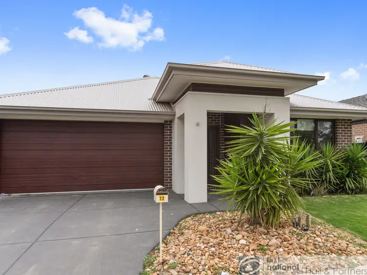 12 Rhynhurst Street, Clyde North VIC 3978