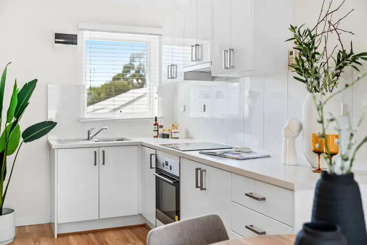 Third view of Homely unit listing, 4/59 Beauchamp Street, Kurralta Park SA 5037