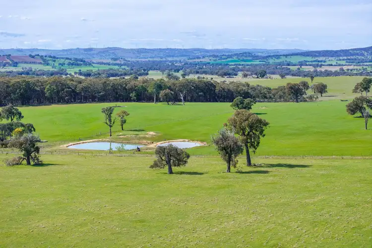 Fifth view of Homely rural property listing, 200 Yangoora Road, Garland NSW 2797