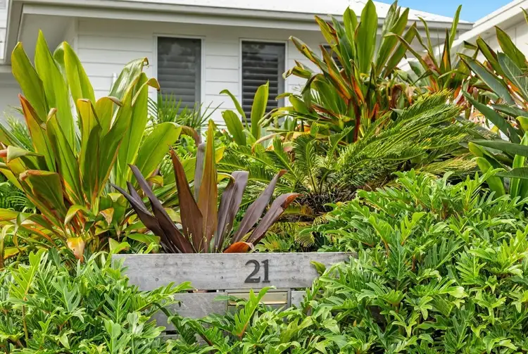 Third view of Homely house listing, 21 Avoca Street, Kingscliff NSW 2487