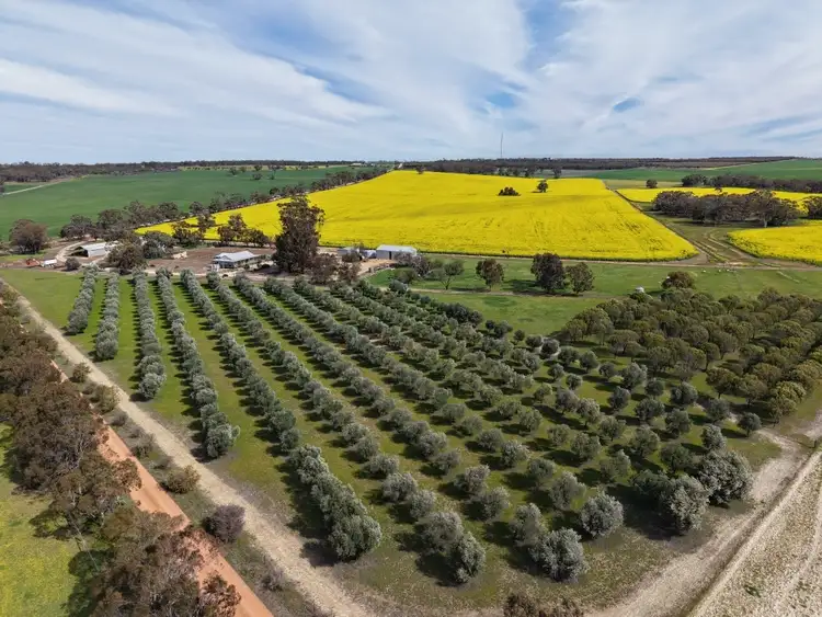 1182 Doodenanning - Mawson Road, Balkuling WA 6383
