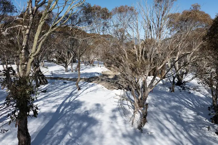 Third view of Homely land listing, 8 Youngs Top, Dinner Plain VIC 3898