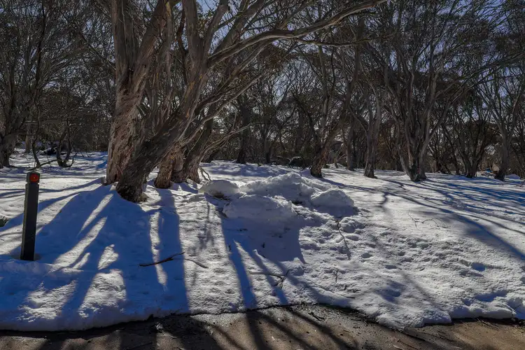 Sixth view of Homely land listing, 8 Youngs Top, Dinner Plain VIC 3898