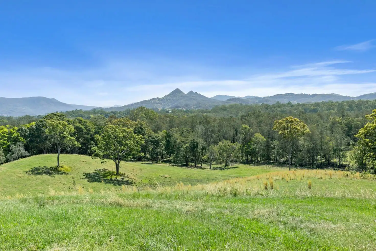 Main view of Homely rural property listing, 73 Bashforths Lane, Brunswick Heads NSW 2483
