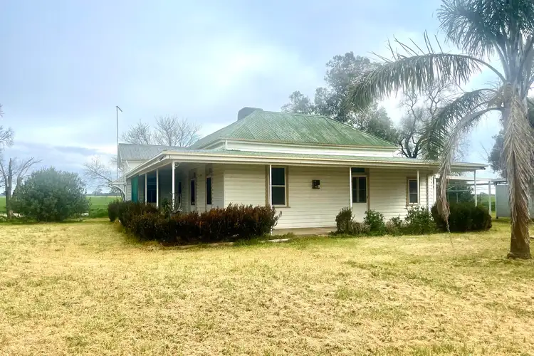 444 Kikiamah Lane, Young NSW 2594