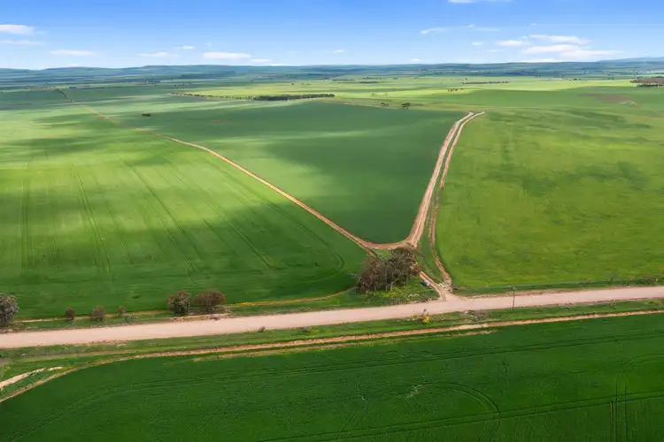 267 Boucaut Road, Brinkworth SA 5464