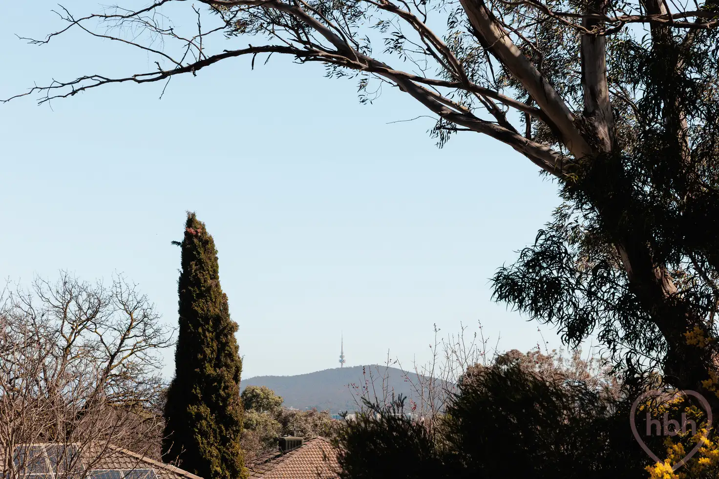 Main view of Homely house listing, 3 Richards Street, Hackett ACT 2602