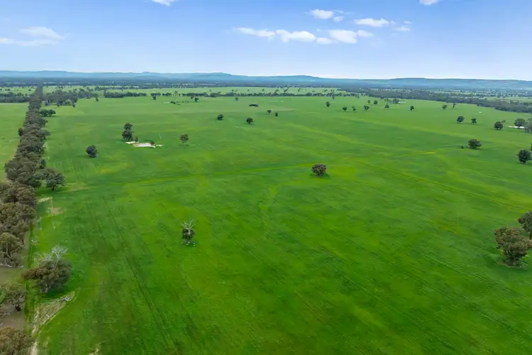 Williams Road, Nagambie VIC 3608