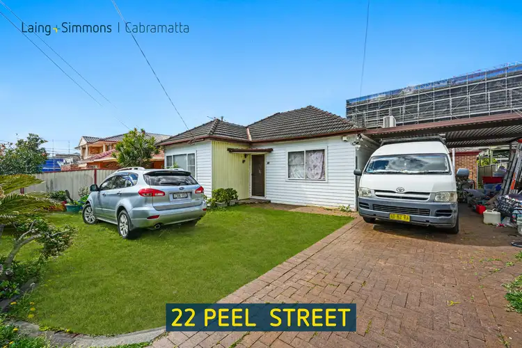 22 Peel Street, Canley Heights NSW 2166