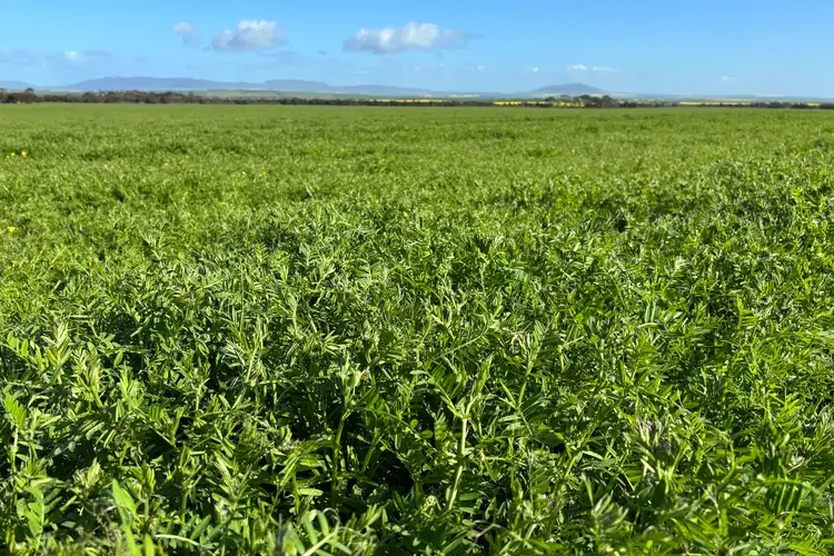 Lot 147 Charlton Gully Road, Wanilla SA 5607