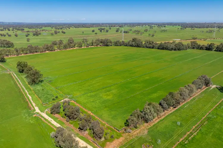 Fifth view of Homely rural property listing, Lot 241 Devlin Road, Brunswick WA 6224