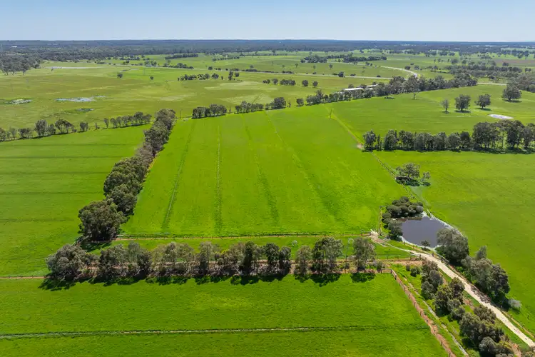 Sixth view of Homely rural property listing, Lot 241 Devlin Road, Brunswick WA 6224