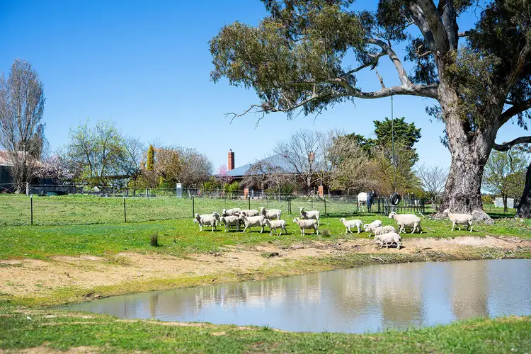 Third view of Homely rural property listing, 3040 Harmony Way, Faraday VIC 3451