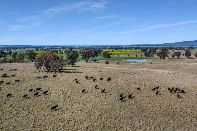Second view of Homely rural property listing, Loch Lomond Road, Gooloogong NSW 2805