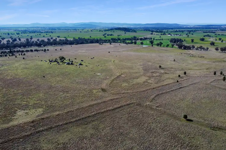 Fourth view of Homely rural property listing, Loch Lomond Road, Gooloogong NSW 2805